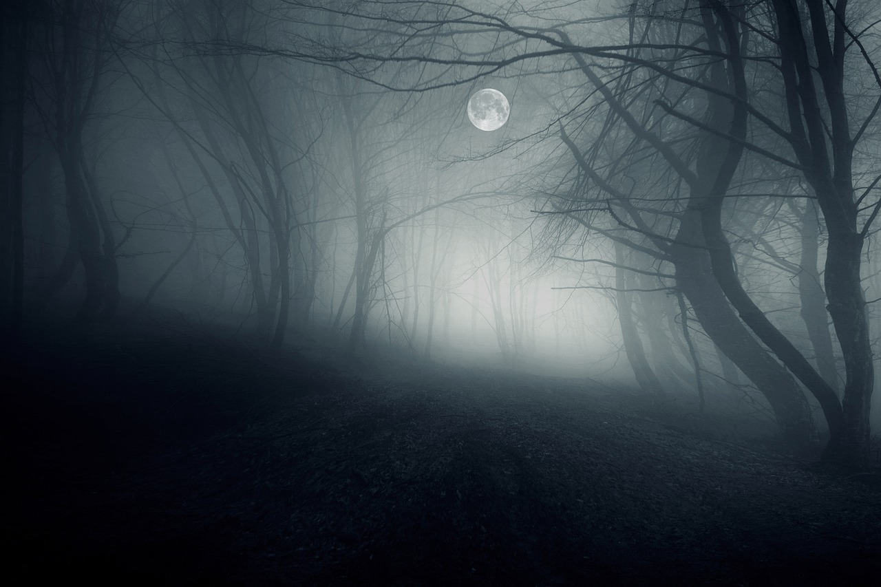 foggy woods at night with full moon in background