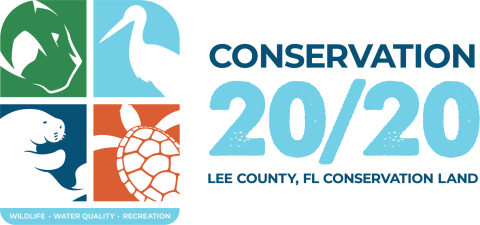 Conservation 20/20 logo