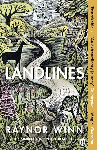 Landlines BookCover