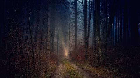 abandoned road through the forest at night