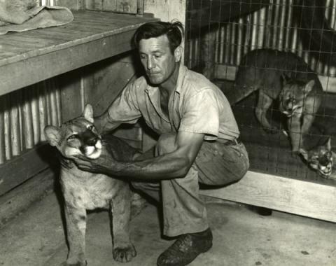 Lester Piper with Florida panther at the Everglades Wonder Gardens