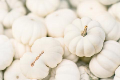 A pile of small, white pumpkins used for crafting.