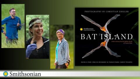 Marketing Image of Smithsonian Bat Island