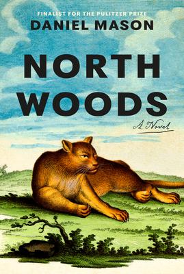Cover art of North Woods by Daniel Mason