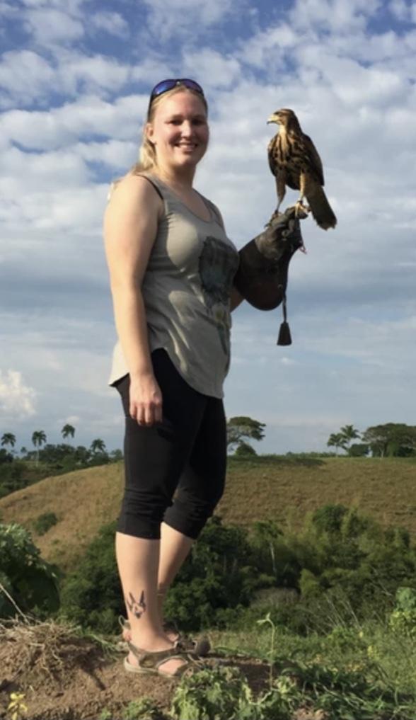 Picture of Falconer, Abbey Krumrie.