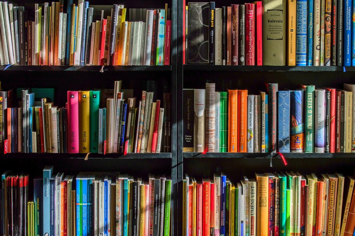 bookcase filled with books