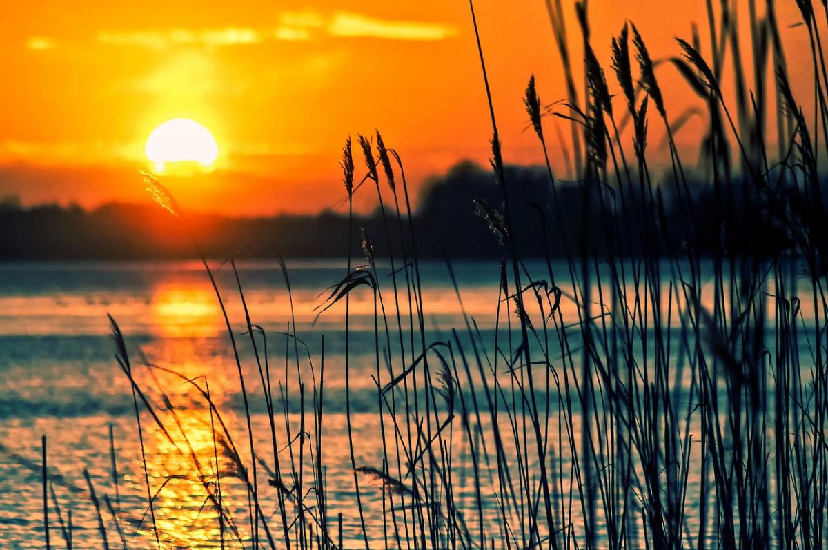 sunset on lake with reeds in the forefront