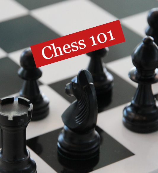 chess pieces with chess 101 overlay