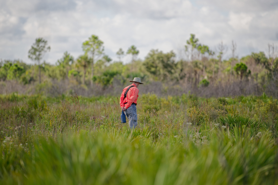 Saving Land and Water in SWFL image