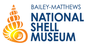 Shell Museum