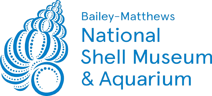 Shell Museum